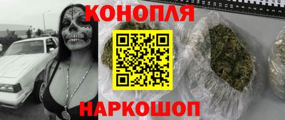 прущие грибы Тверь