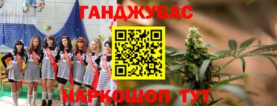 прущие грибы Тверь