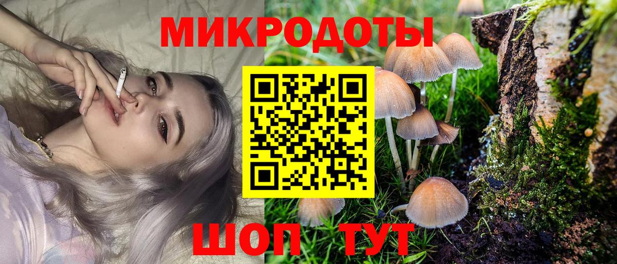Псилоцибиновые грибы Cubensis  Вход с VPN  Волжск 